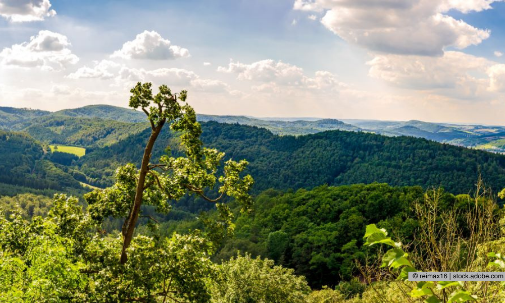 Thüringer Wald