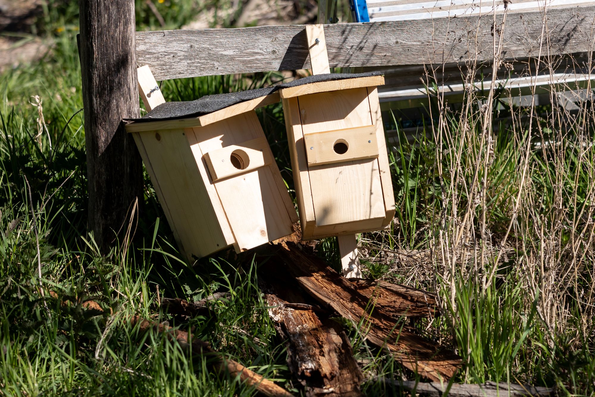 Im Gras liegen zwei Nistkästen die von den kindern gefertigt wurden.
