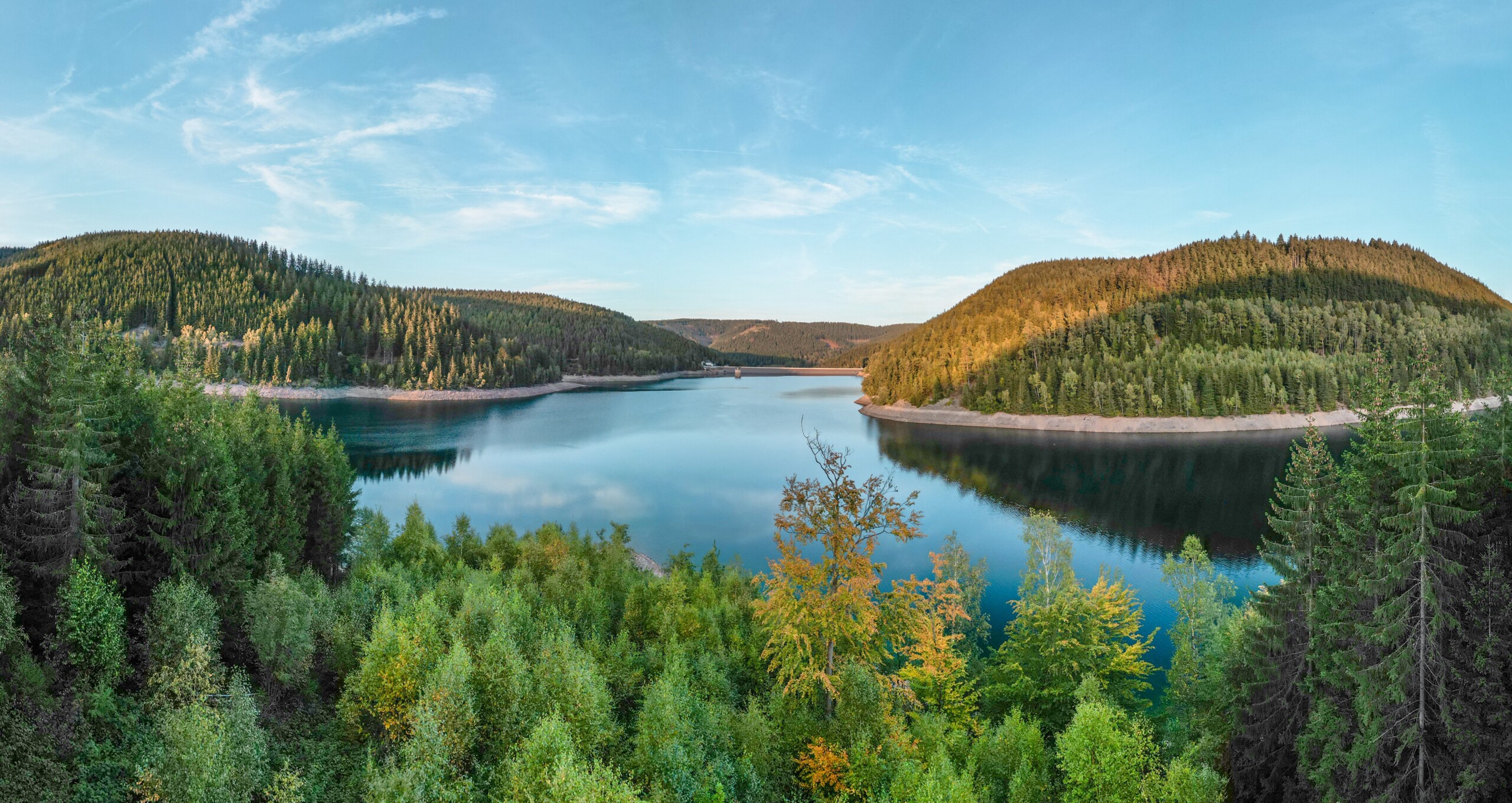 Ohratalsperre bei Luisenthal im Thüringer Wald, Blick zwischen den Bäumen auf die Talsperre bei sonnigen Wetter