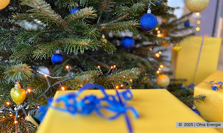 Detail Weihnachtsbaum der Ohra Energie