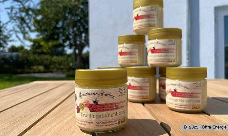 Durchsicht Bienenvolk