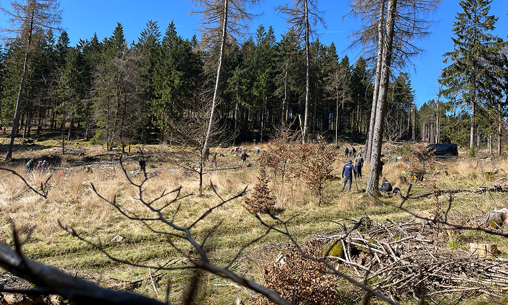 Das Gelände, auf dem die Baumpflanzaktion stattfand.