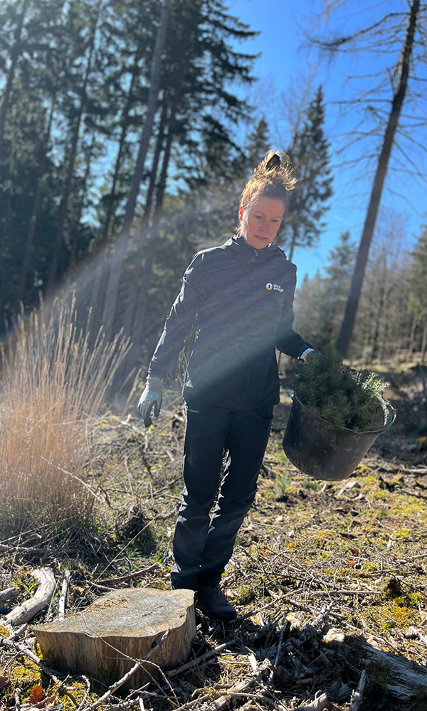 Kerstin van de Haterd bringt die nächsten Bäume an ihren Bestimmungsort.