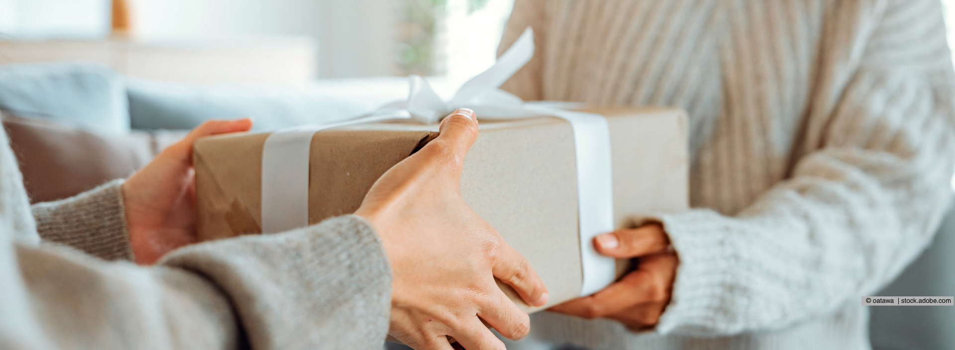 Eine Person überreicht einer anderen ein Geschenk 
