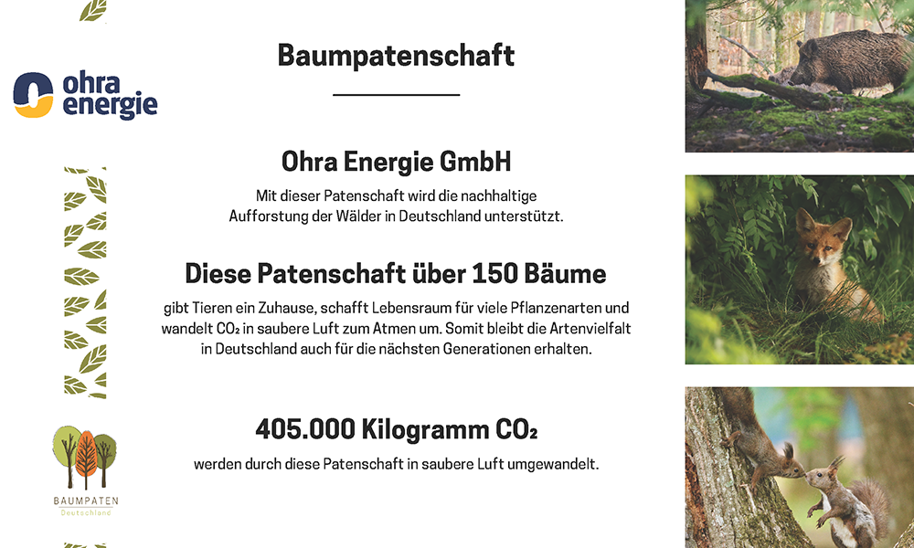 Zertifikat "Baumpatenschaft" der Ohra Energie über 150 Bäume